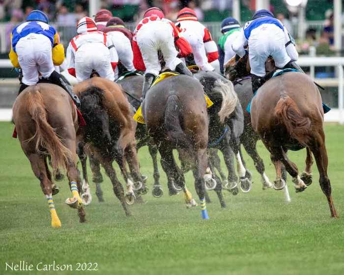 New York Adjusts Licensing Procedure For Jockey Agents Paulick Report