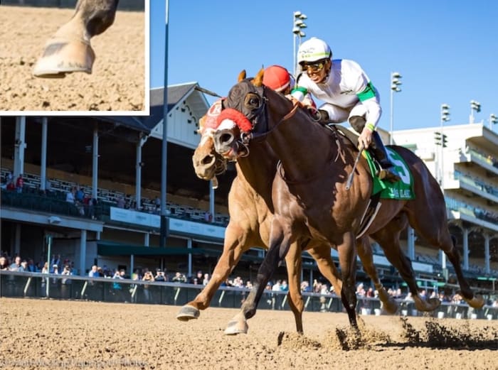 Lukas Classic HISA Concludes Hot Rod Charlie Was Not In Violation Of