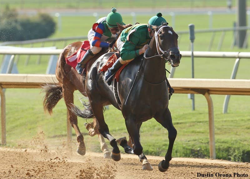 Sam Houston Pinky Ring Bling, Eagle Express Favored In Thursday's