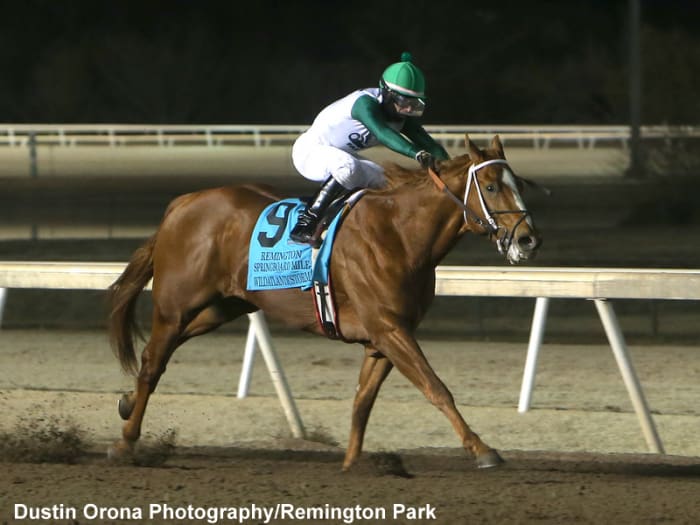Wildatlanticstorm, with Leandro Goncalves up, draws away to win the $400,000 Springboard Mile at Remington Park on Dec. 17. Wildatlanticstorm was voted the Horse of the Meeting for the recently concluded Remington Park Thoroughbred Season.