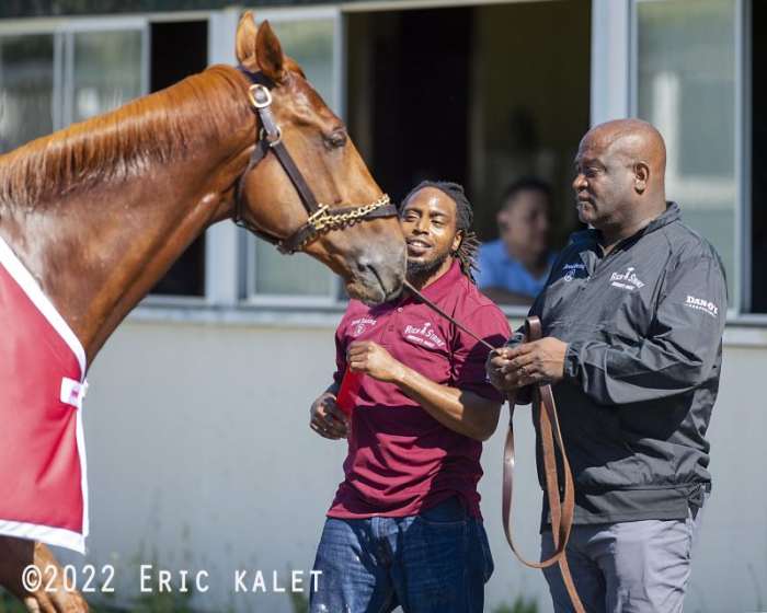 'The Horse Is Calmer When Jerry Is Around' Bond Of Trust Between Rich