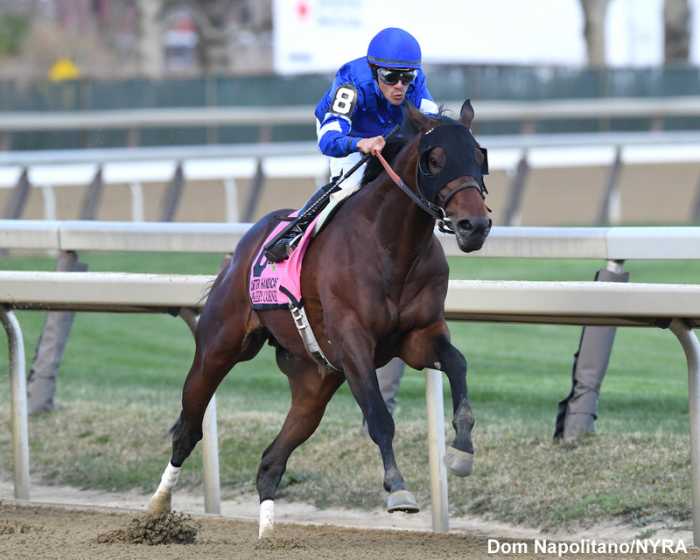 Darley America Announces 2023 Stallion Roster, Including