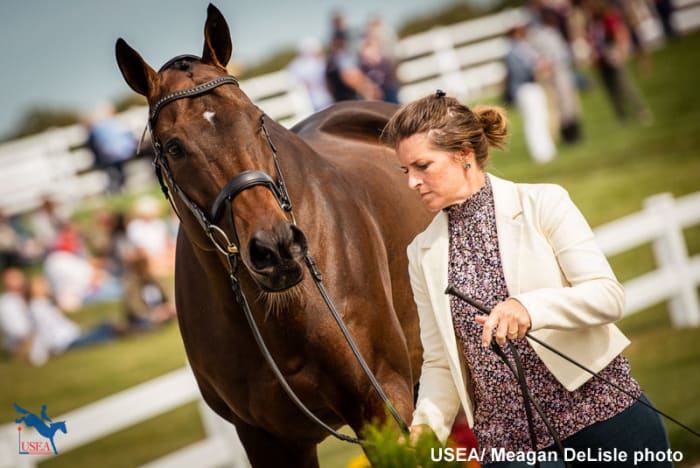 Five Thoroughbreds Set To Represent In Second Running Of Maryland 5 ...