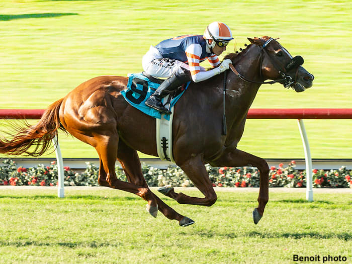 Conclude Kicks Off Del Mar Meet With Oceanside Stakes Score Paulick