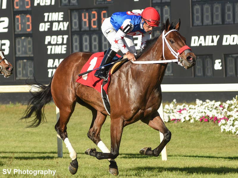 Train To Artemus Could Make First Start For New Owner Dixiana Farm In