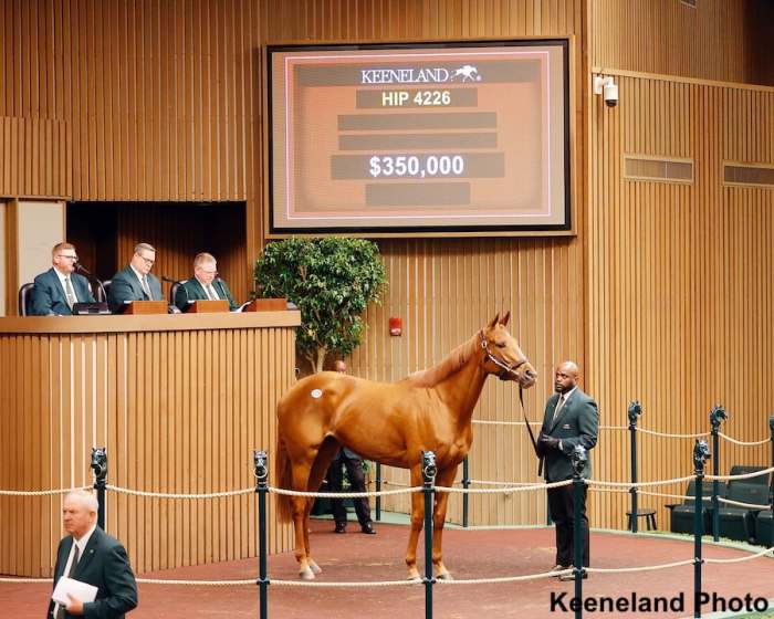 Recent Winners Double Dream, Edgartown Top Keeneland November Horses Of