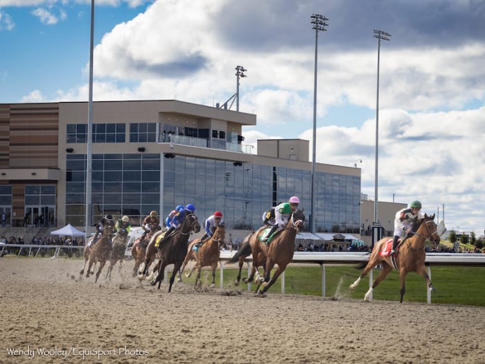 Turfway Park Handle Up 17 Percent In 2024 Paulick Report Shining Light on the Horse Industry