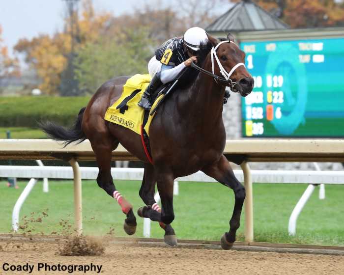 Recent Keeneland Winner Halmstad Among Three Horses Supplemented To