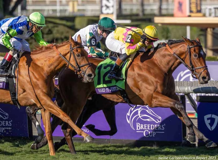 Breeders' Cup Juvenile Fillies Turf Hard To Justify Stays Unbeaten