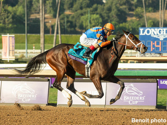 Breeders' Cup Juvenile Winner Fierceness Tops Nominees To Holy Bull