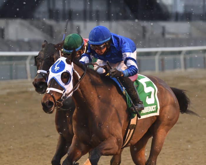 Comparative Battles Back To Win Ladies At Aqueduct - Paulick Report ...