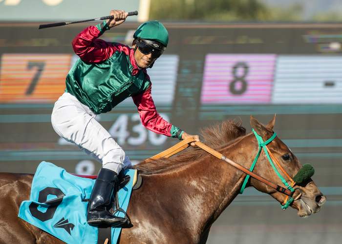 Grand Slam Smile Faces New Hurdles In California Distaff Paulick