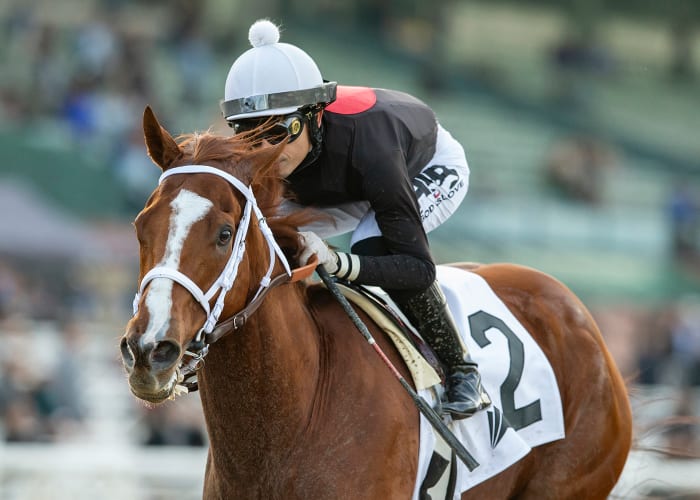 Star Of The Show: The Chosen Vron Repeats In California Cup Sprint ...