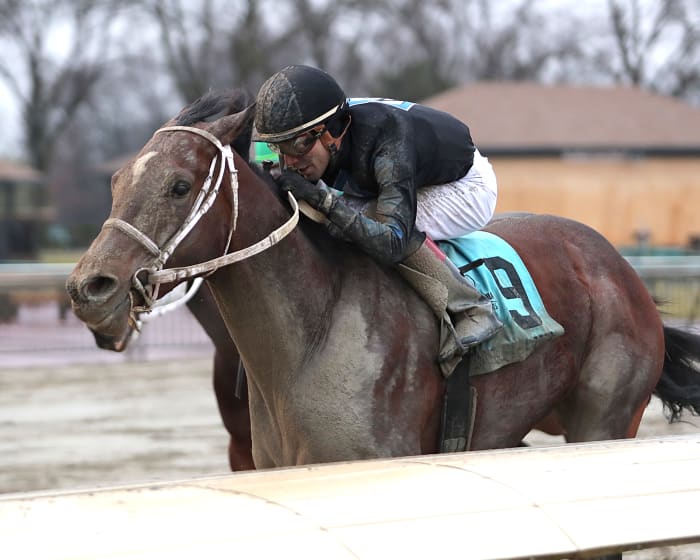 PABred Stakes Winner Uncle Heavy Points To Withers Paulick Report