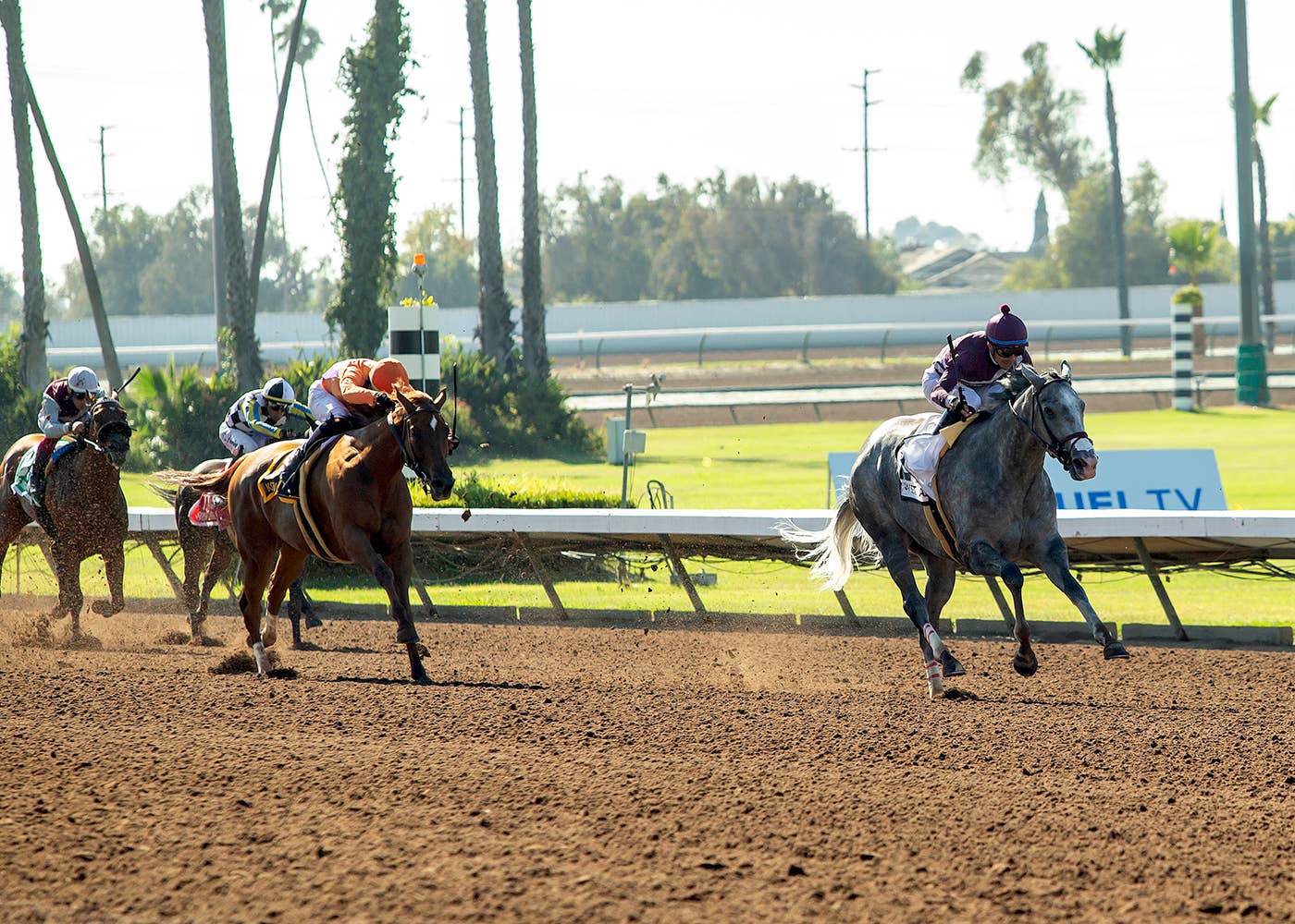 Los Alamitos September Thoroughbred Meet Begins On Sept. 12 - Paulick