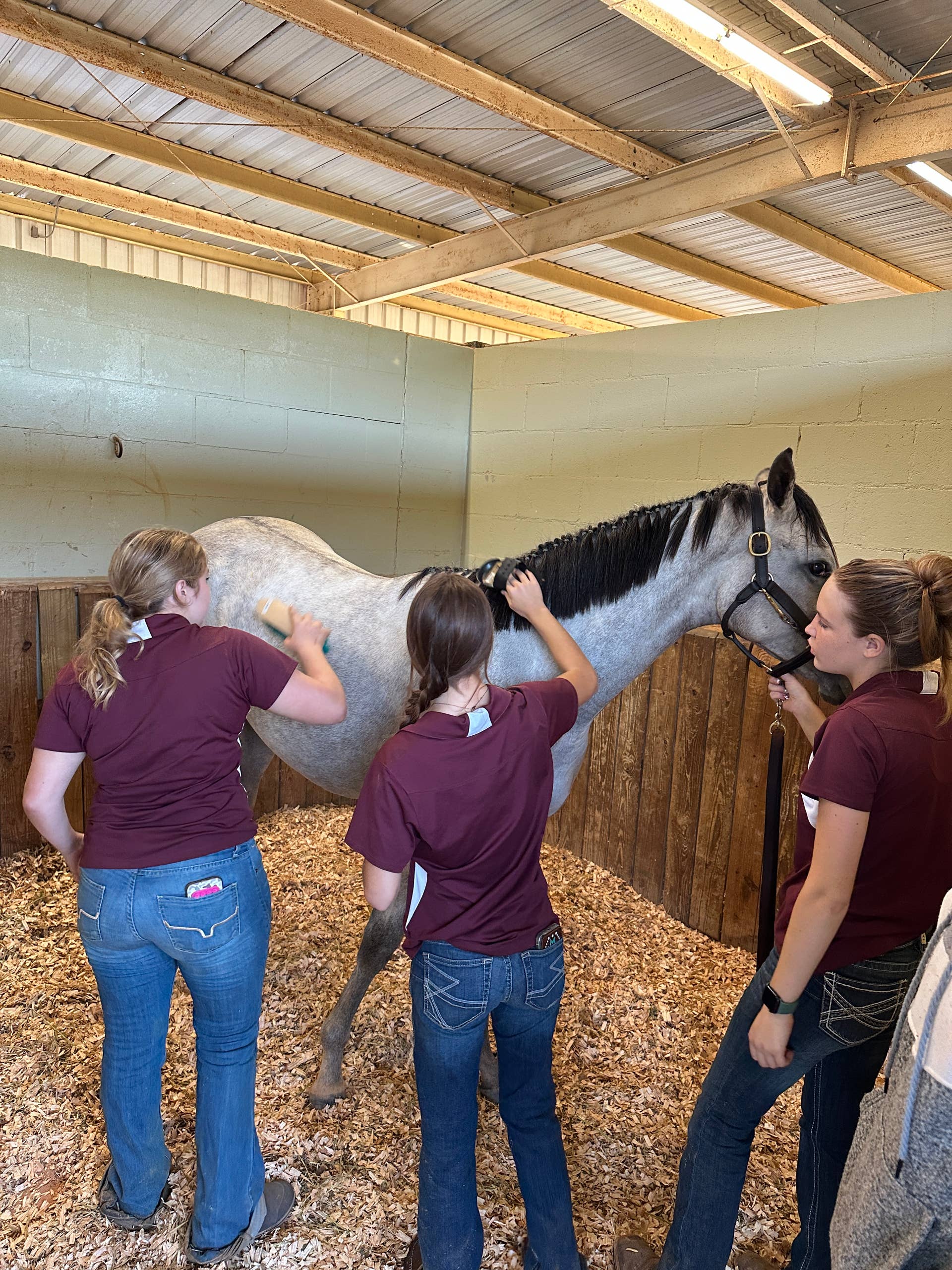 'This Is Our Passion' Magic On Tap Filly Sells To Benefit North Marion