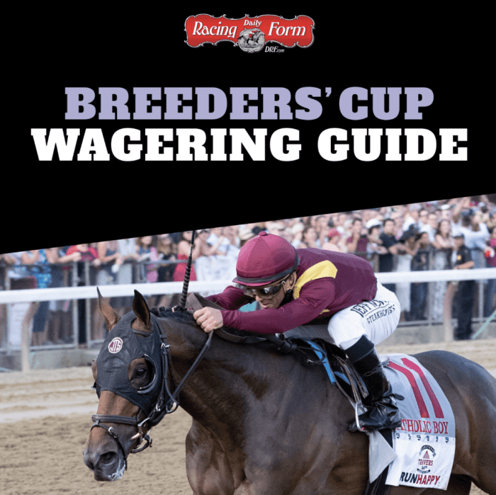 Free DRF Breeders’ Cup Wagering Guide Available Now Paulick Report