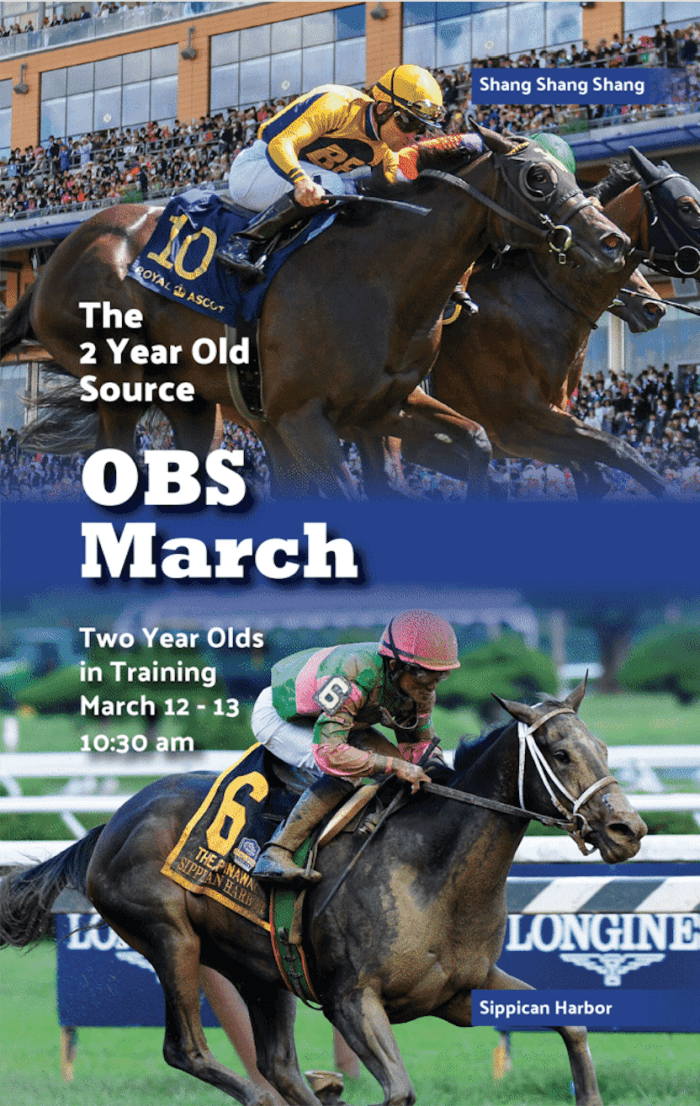 OBS March Sale UnderTack Show Begins Thursday Paulick Report