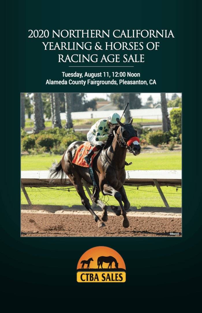 Northern California Yearling And Racing Age Sale Catalog Available