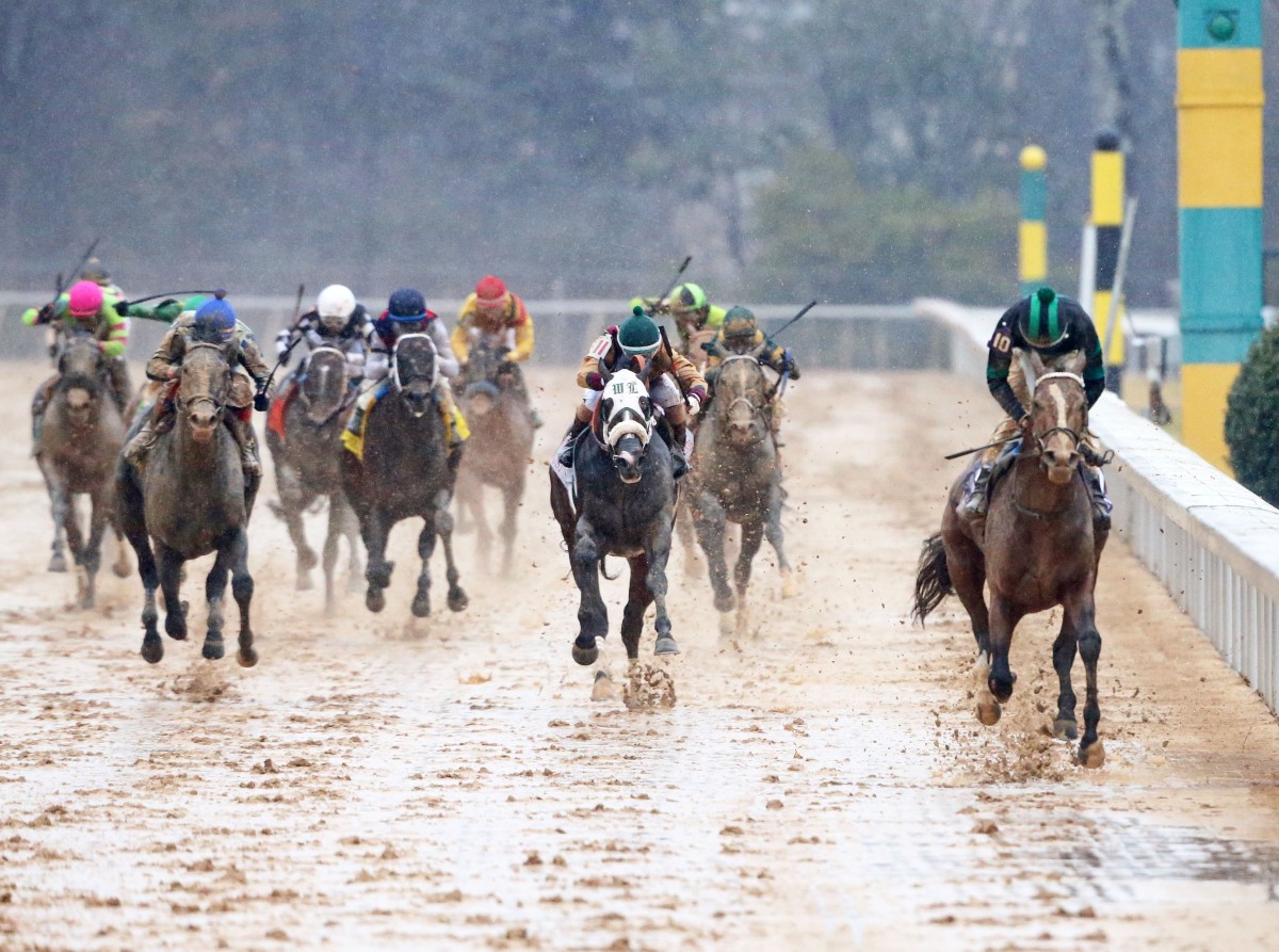 Southwest Winner Mystik Dan Skips Rebel, Pointed To Arkansas Derby