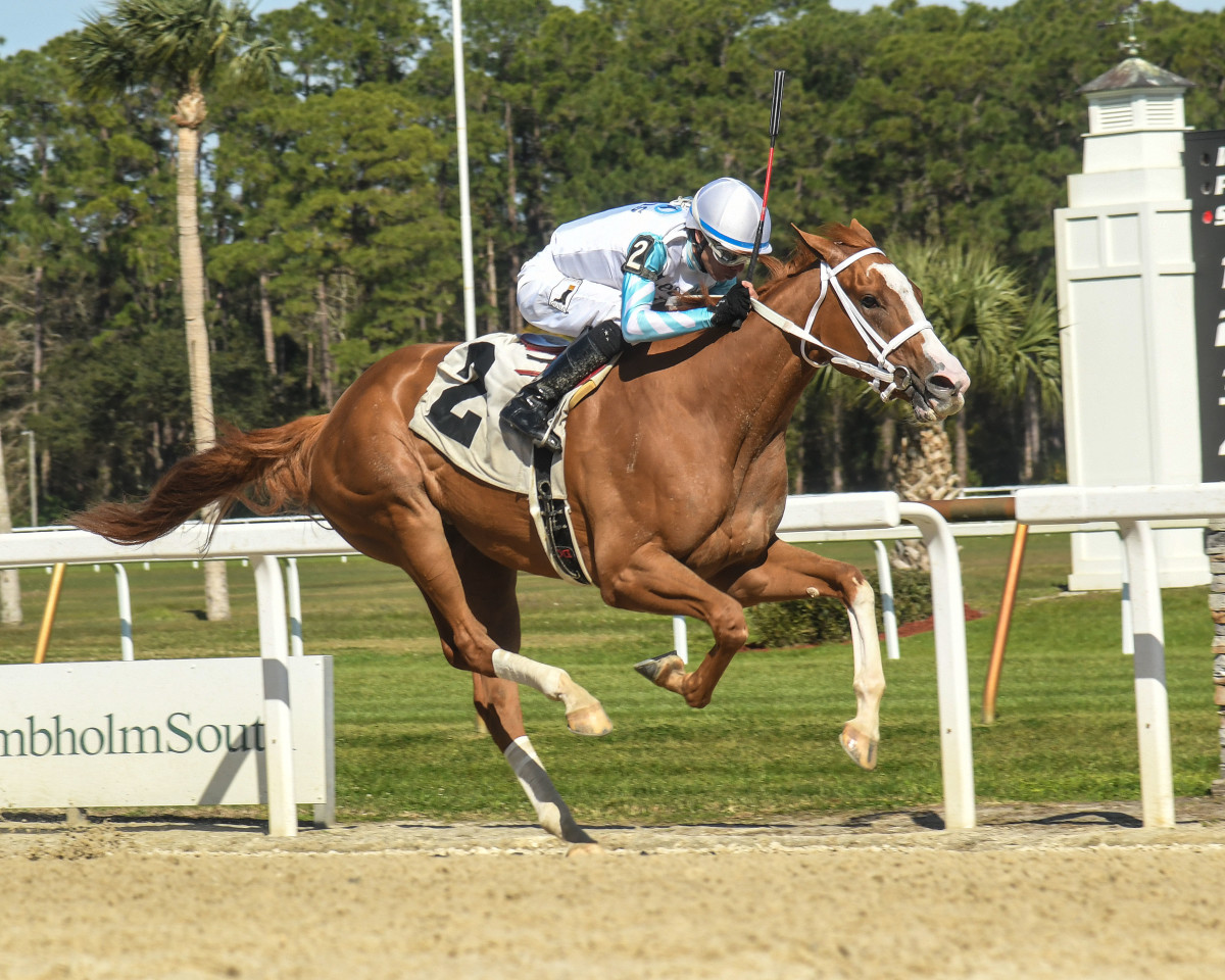 Road To The Kentucky Oaks Suncoast Victress Power Squeeze Aimed For