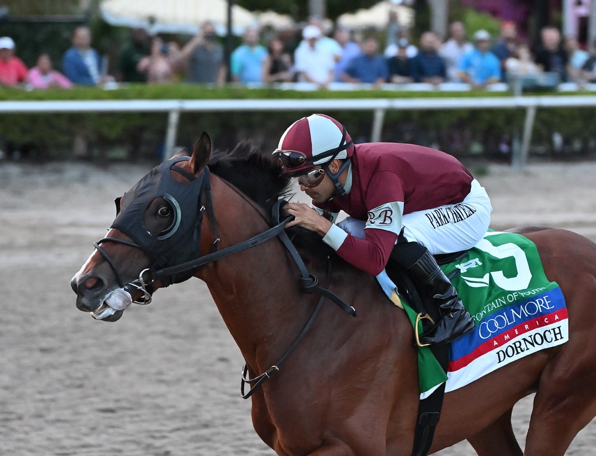 NTRA Poll: Dornoch Jumps To Fourth Among 3-Year-Olds - Paulick Report ...