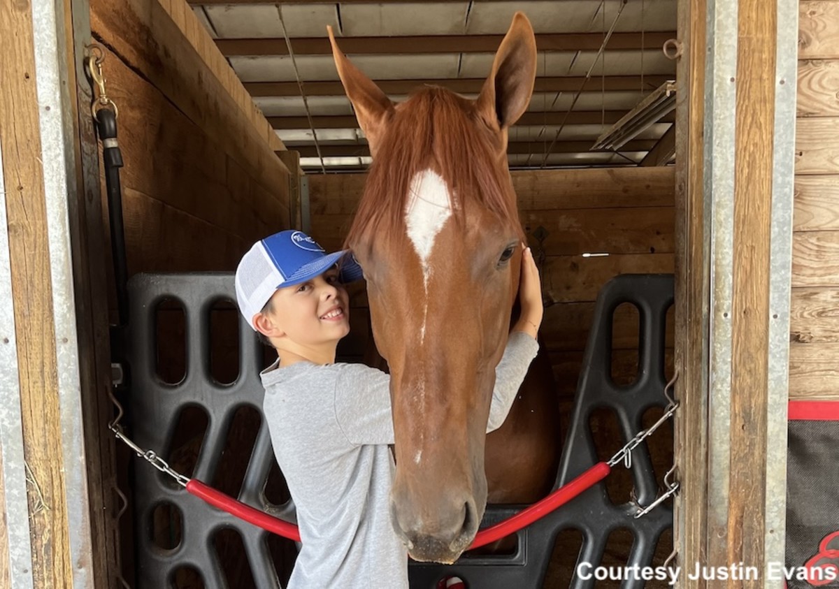 ‘They Just Absolutely Love Him To Death’: Zestful’s Retirement Is A