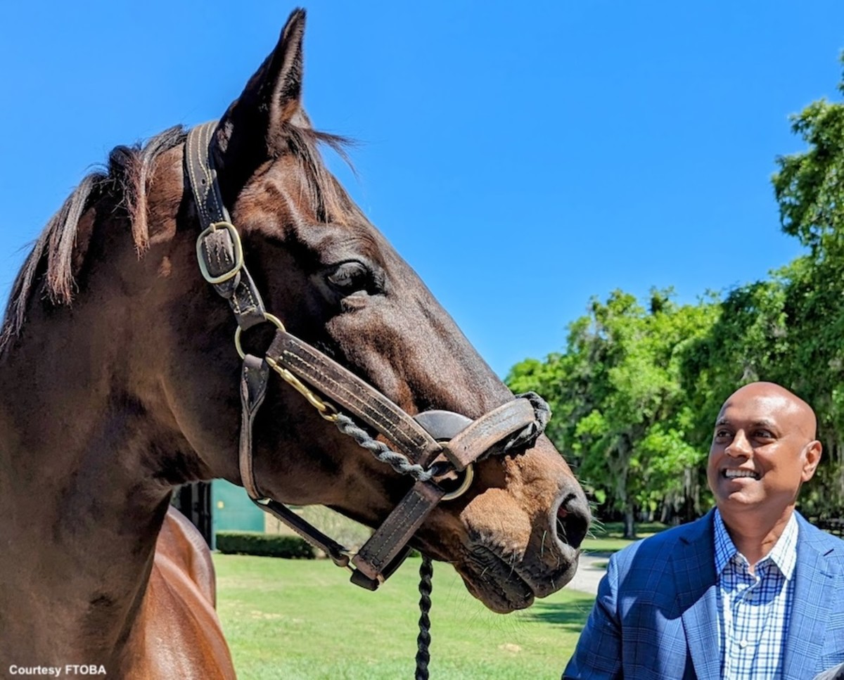 Tampa Business Leader Danny Persaud Expands New Vision For Woodford  Thoroughbreds - Paulick Report | Shining Light on the Horse Industry