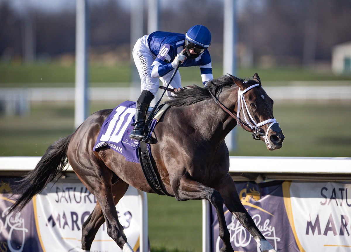 Endlessly trainer, jockey, owner and more to know about 2024 Kentucky