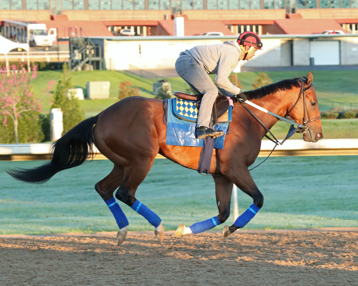 Temperature Knocks Muth Out Of Preakness - Paulick Report | Latest news ...