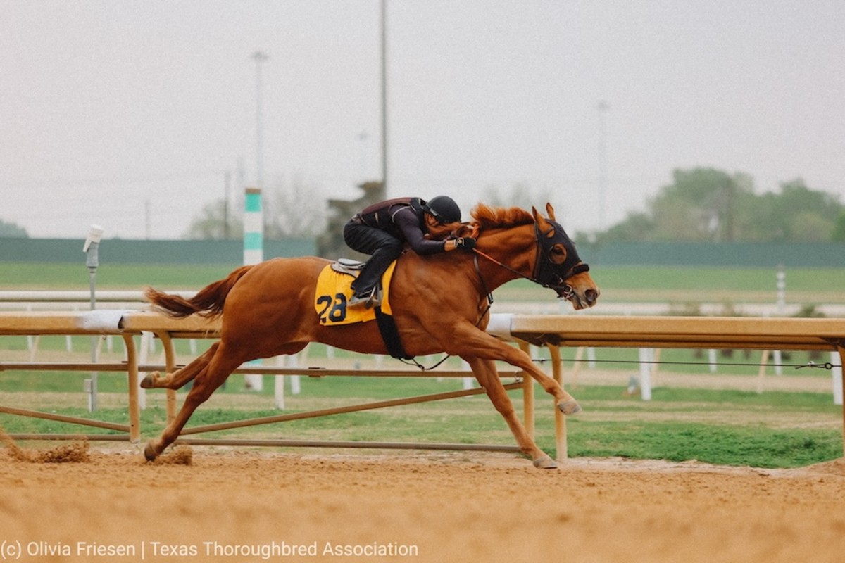 Texas Thoroughbred Association's 2025 2YearOlds In Training Sale Set