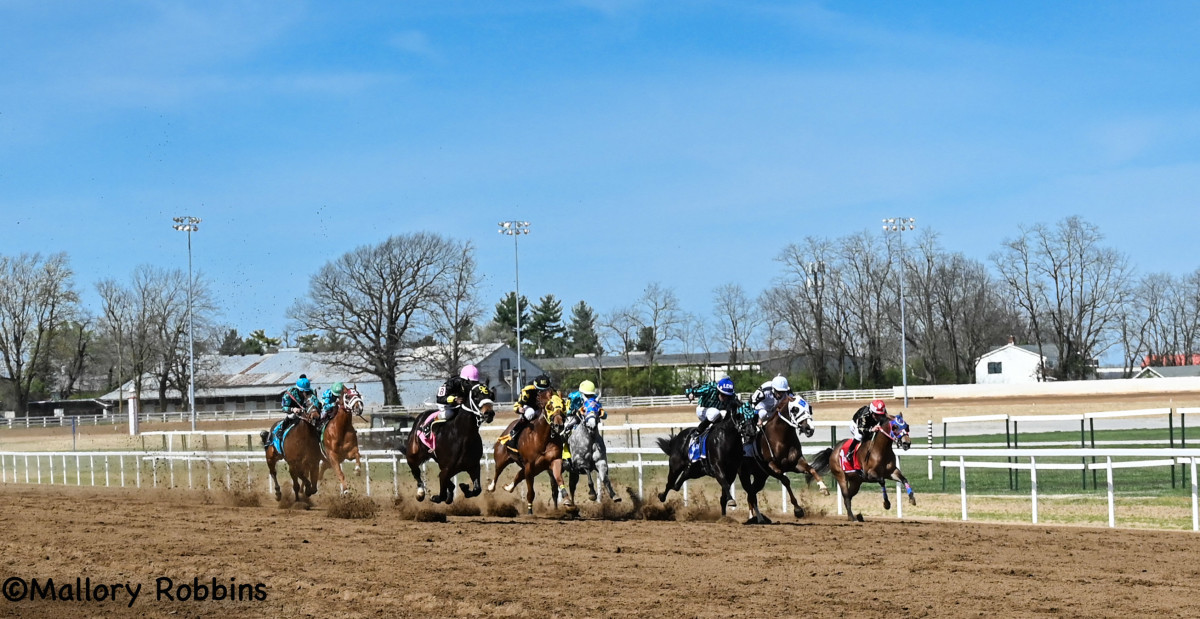 Second Quarter Horse Meet At Red Mile Sees 85 Percent Increase In ...