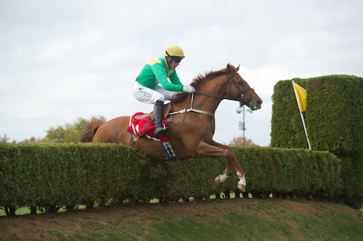 'Truly A Natural' From Adolescent Runaway To Winning Steeplechase