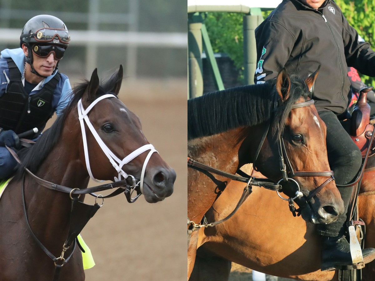 Fierceness, Sierra Leone Drawn Near Opposite Ends Of Kentucky Derby  Starting Gate - Paulick Report | Shining Light on the Horse Industry