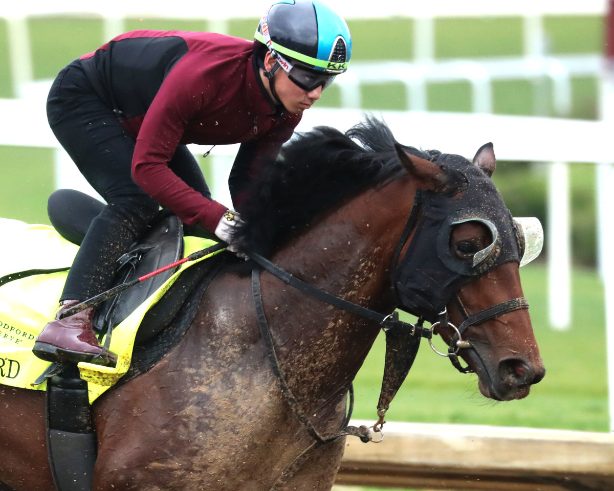 T O Password, Fifth In Kentucky Derby, Injured In Japan - Paulick ...