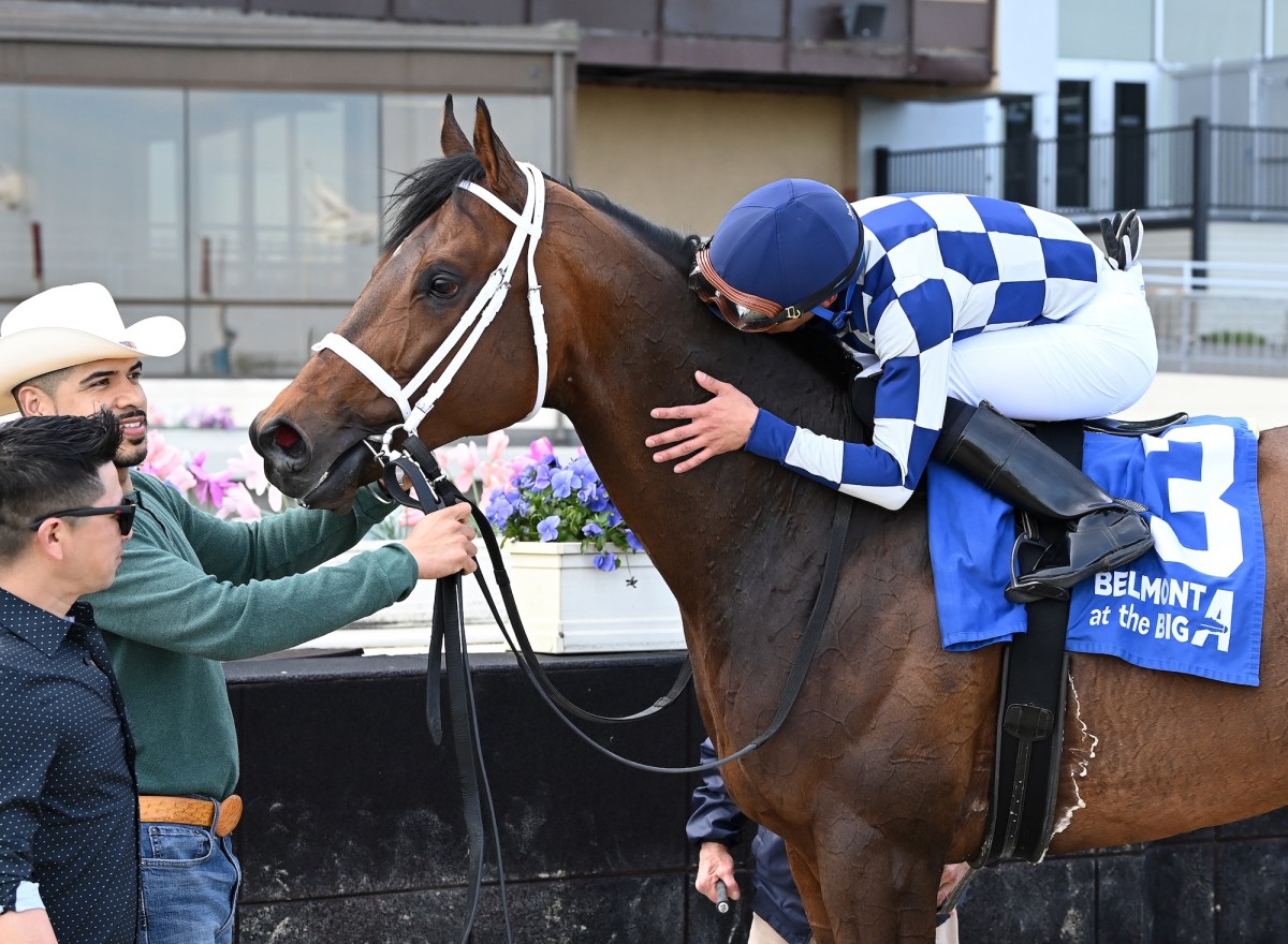 Messier May Join Dutrow Stablemate White Abarrio In Met Mile After ...