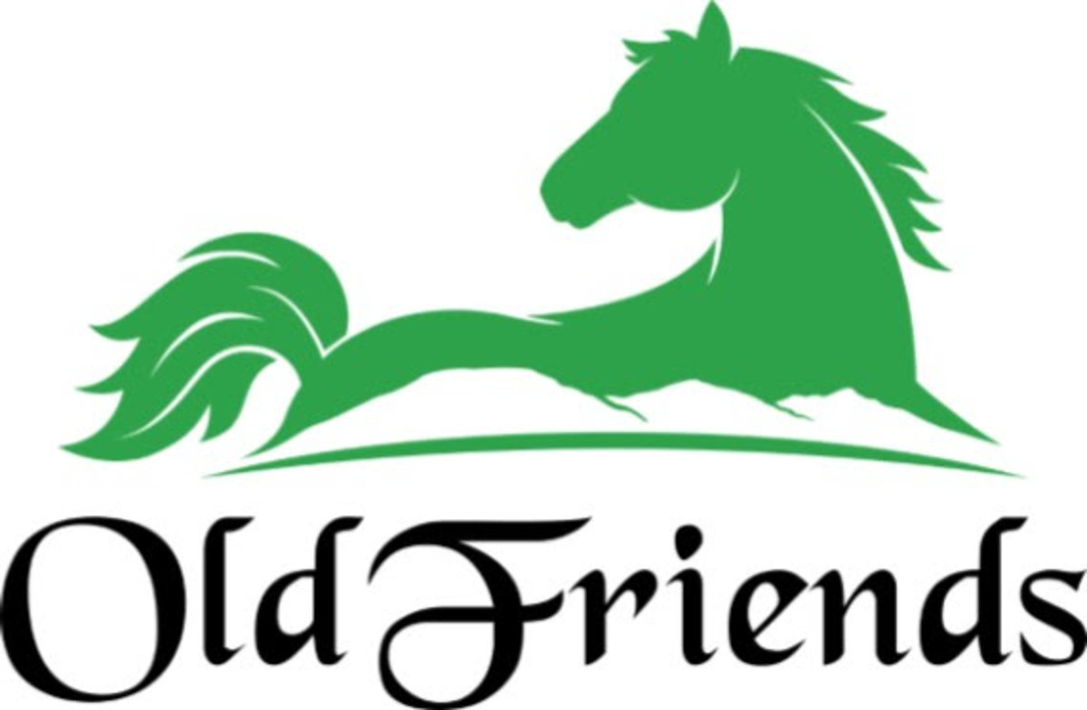 Old Friends For Life: Pimlico Allowance Race To Provide Winner With ...