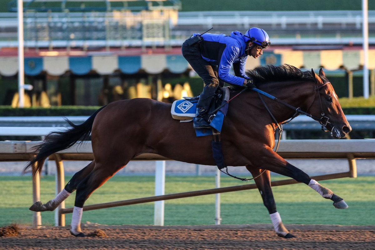 Flightline's Half-Brother Eagles Flight To Debut Monday At Santa Anita ...