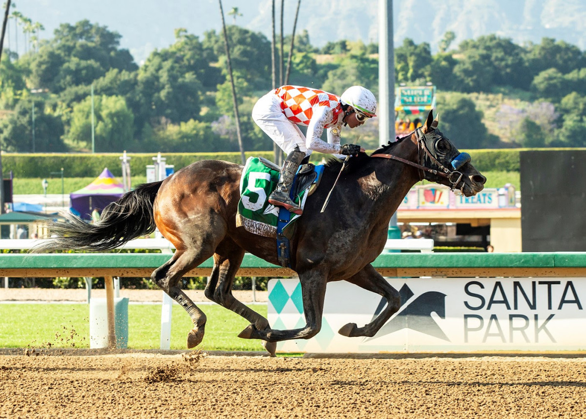 Mr Fisk Leads Baffert Exacta In Hollywood Gold Cup, Vanned Off Track