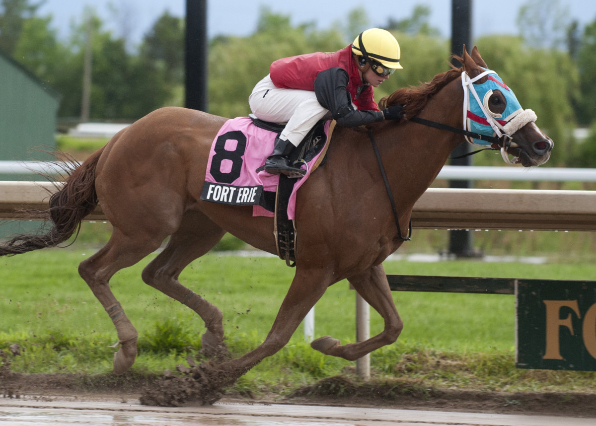 Opening Day At Fort Erie Sees Wagering Reach $1.9 Million - Paulick ...