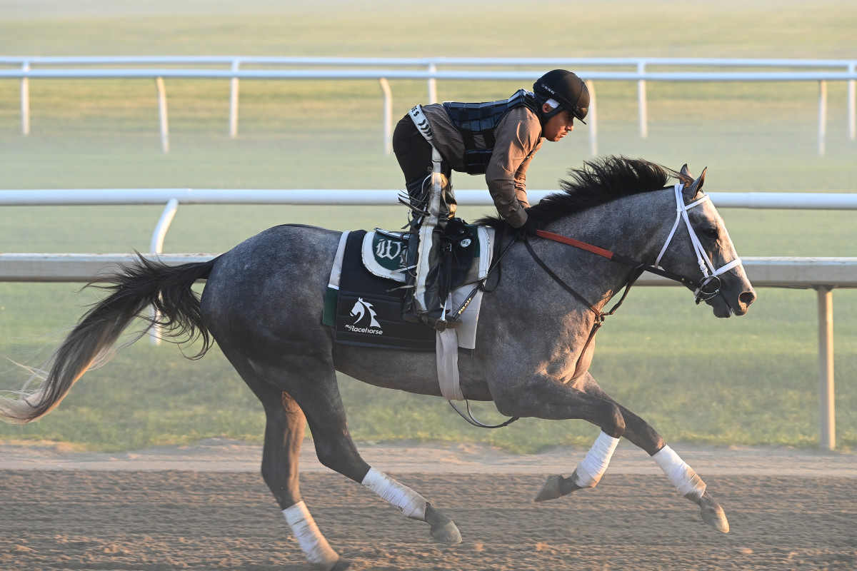 Seize The Grey To Skip Travers, Point To Pennsylvania Derby - Paulick ...