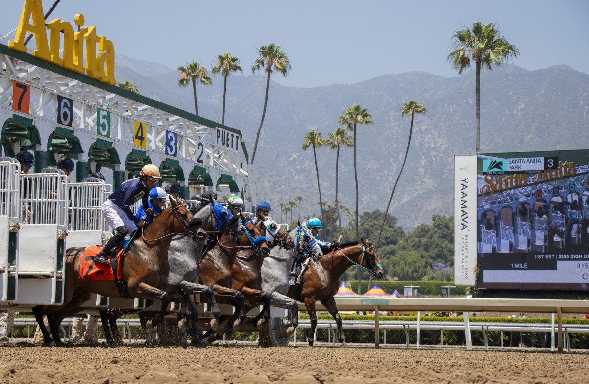 Report: Santa Anita Purses Cut For Fall Meet - Paulick Report | Latest ...