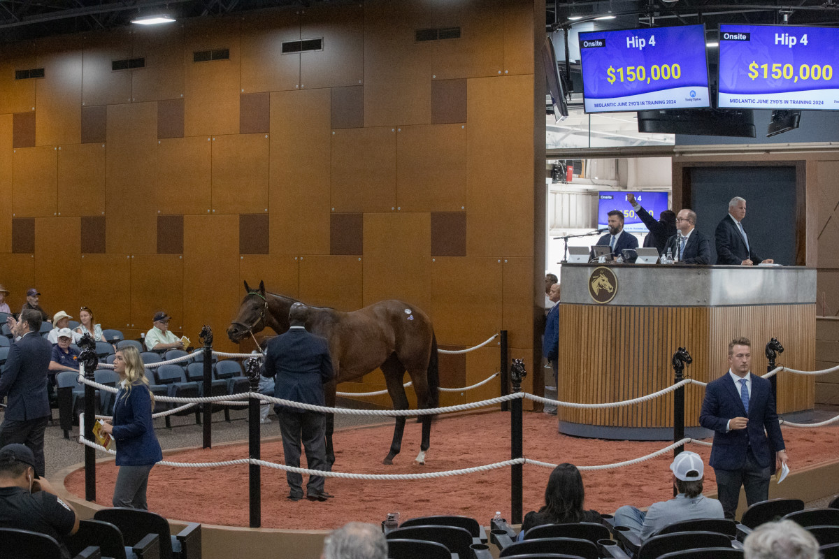 Vekoma Colt Tops FasigTipton Midlantic June 2YearOlds in Training