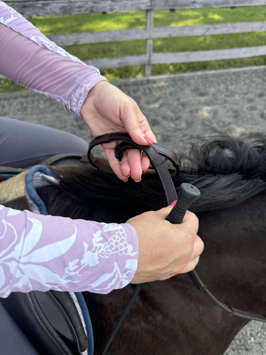 OTTB Training Toolkit Presented by Doc Lane's Veterinary Pharmacy