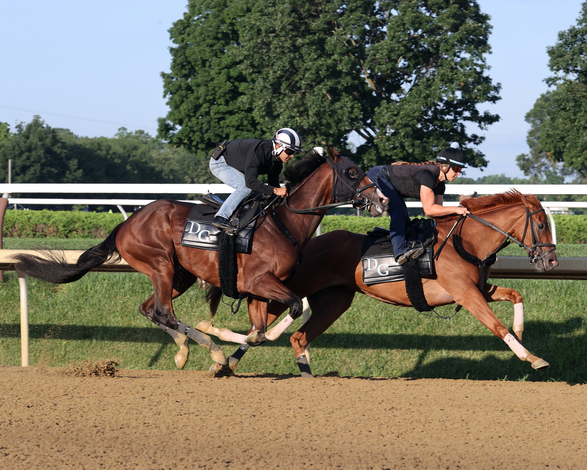 Haskell 'Perfect Timing' For Belmont Winner Dornoch - Paulick Report ...