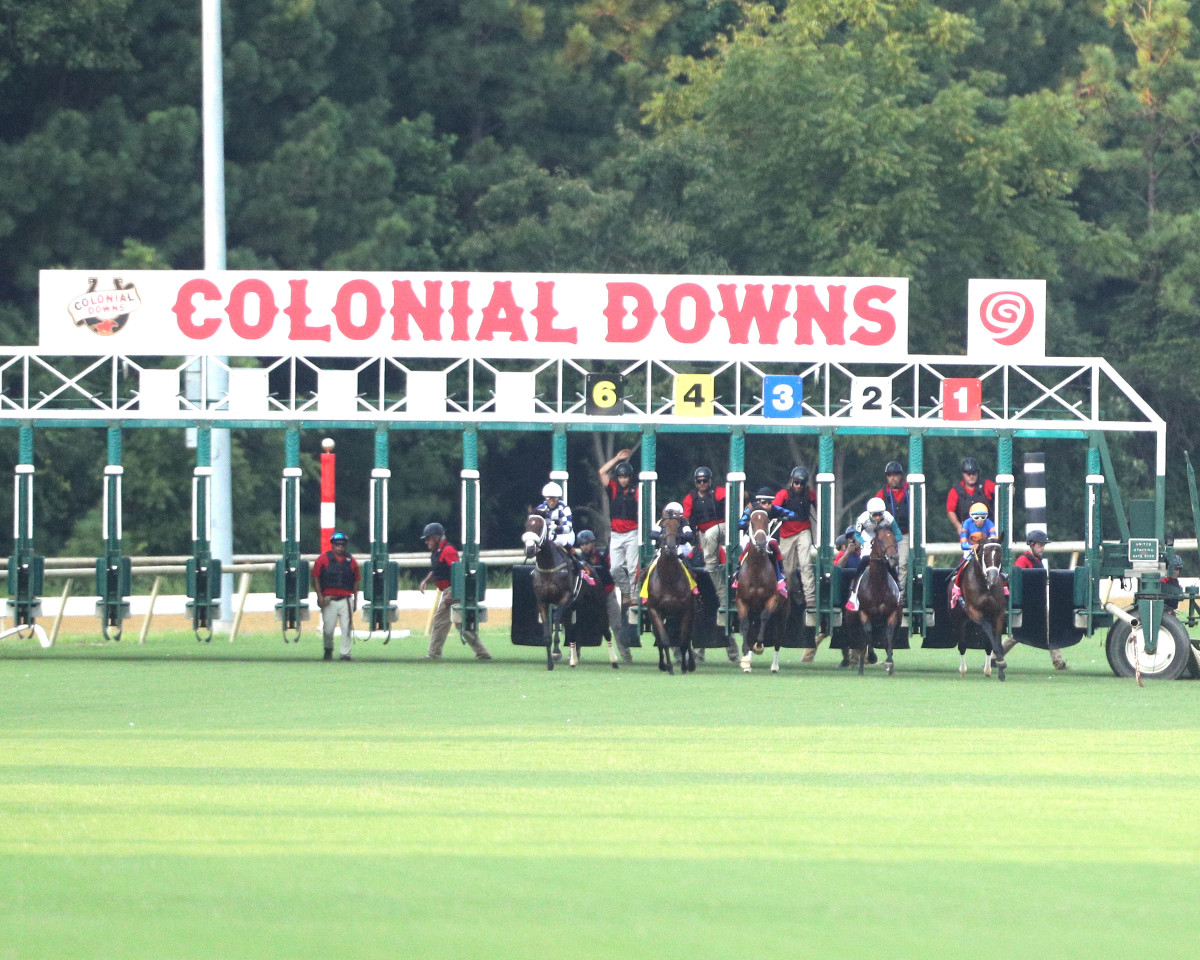 Total Of 89 Nominations Released For Inaugural Virginia Derby - Paulick ...