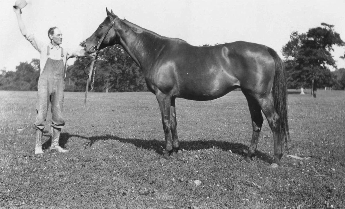 Seven Fillies Have Won The Travers, But None Since 1915 Paulick