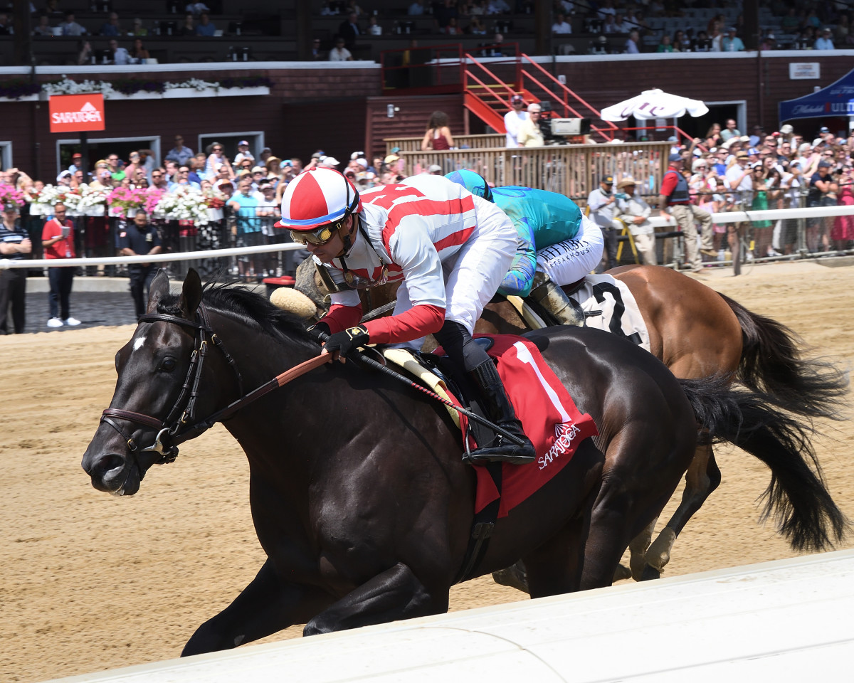 Travers Dark Horse? Chad Brown 'Very Confident' In 81 Unmatched Wisdom