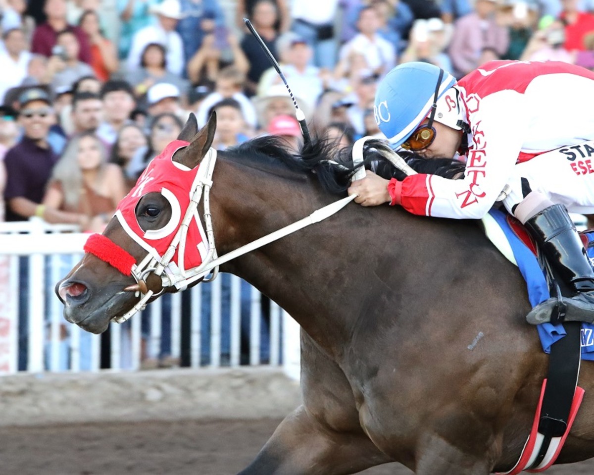Unprecedented': Carmoterol Found Post-Race In 12 Runners On