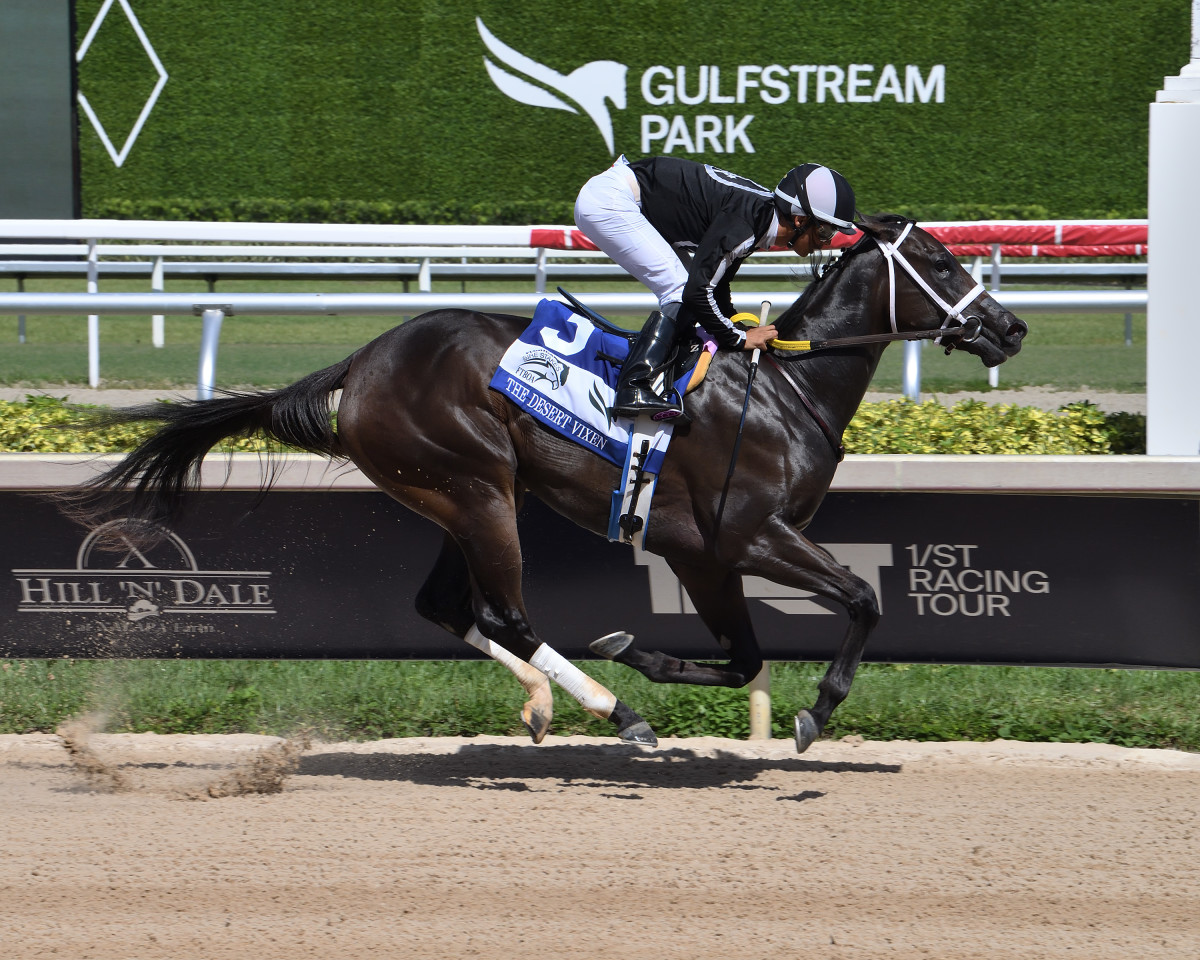 R Morning Brew Has Tough Act To Follow In Florida Sire Stakes Paulick